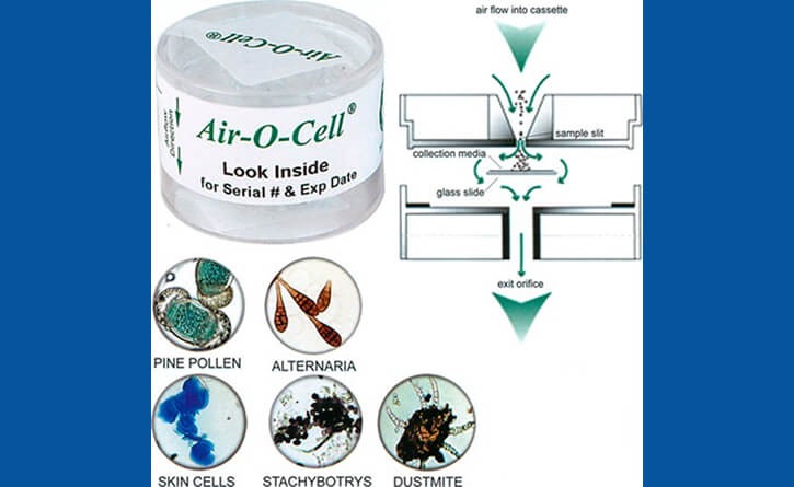 How Our Mold Testing Works 
