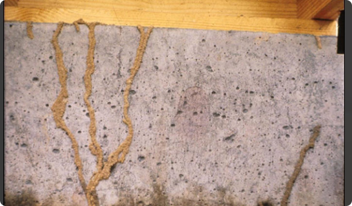 Home Inspection